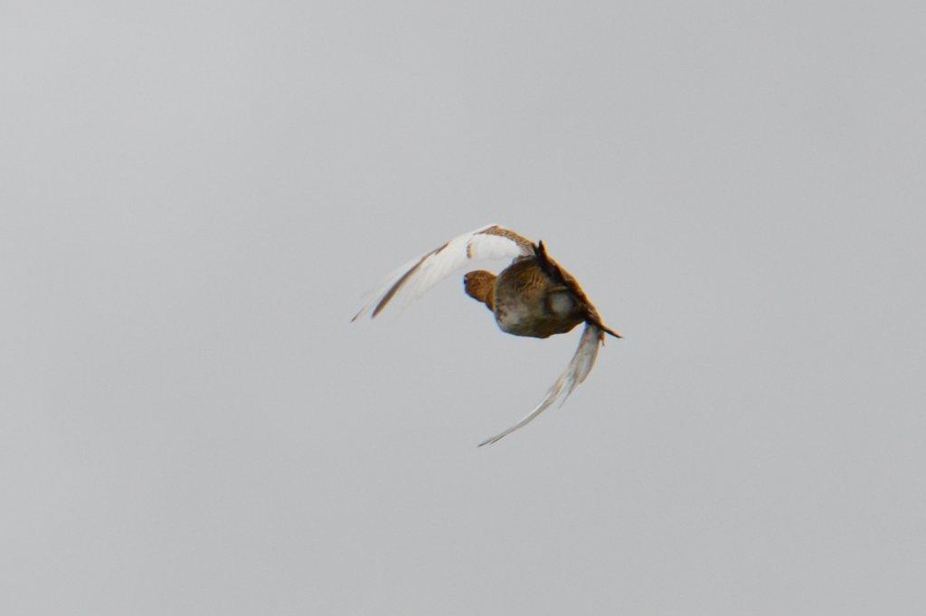 2011-183