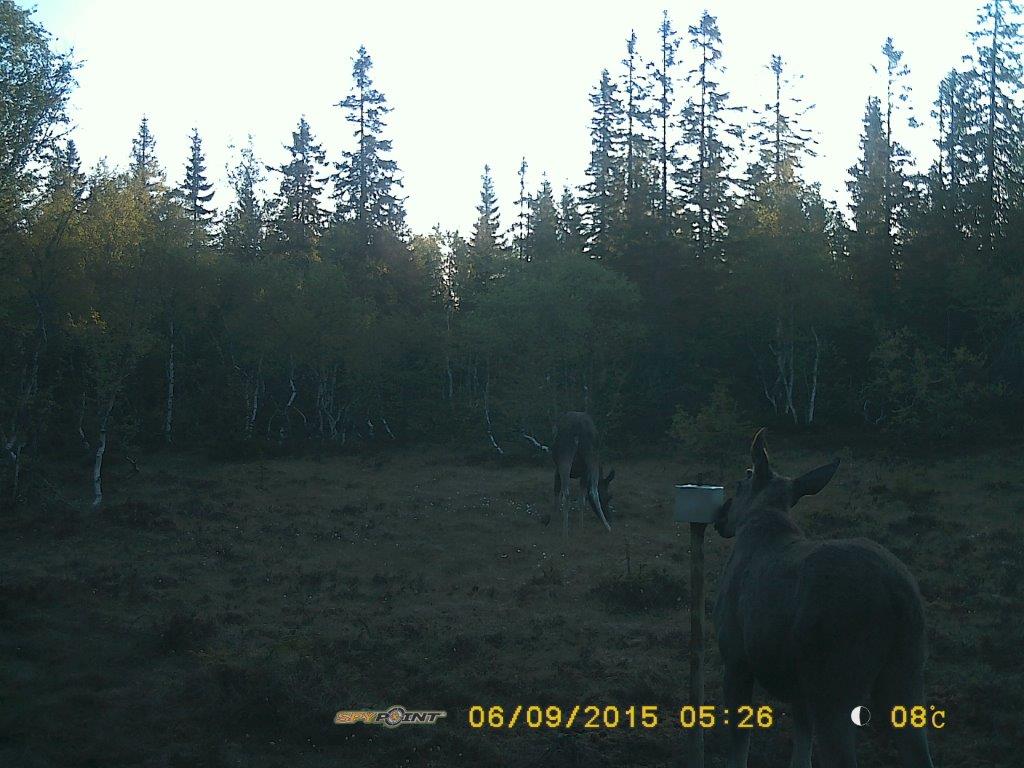 PICT0339