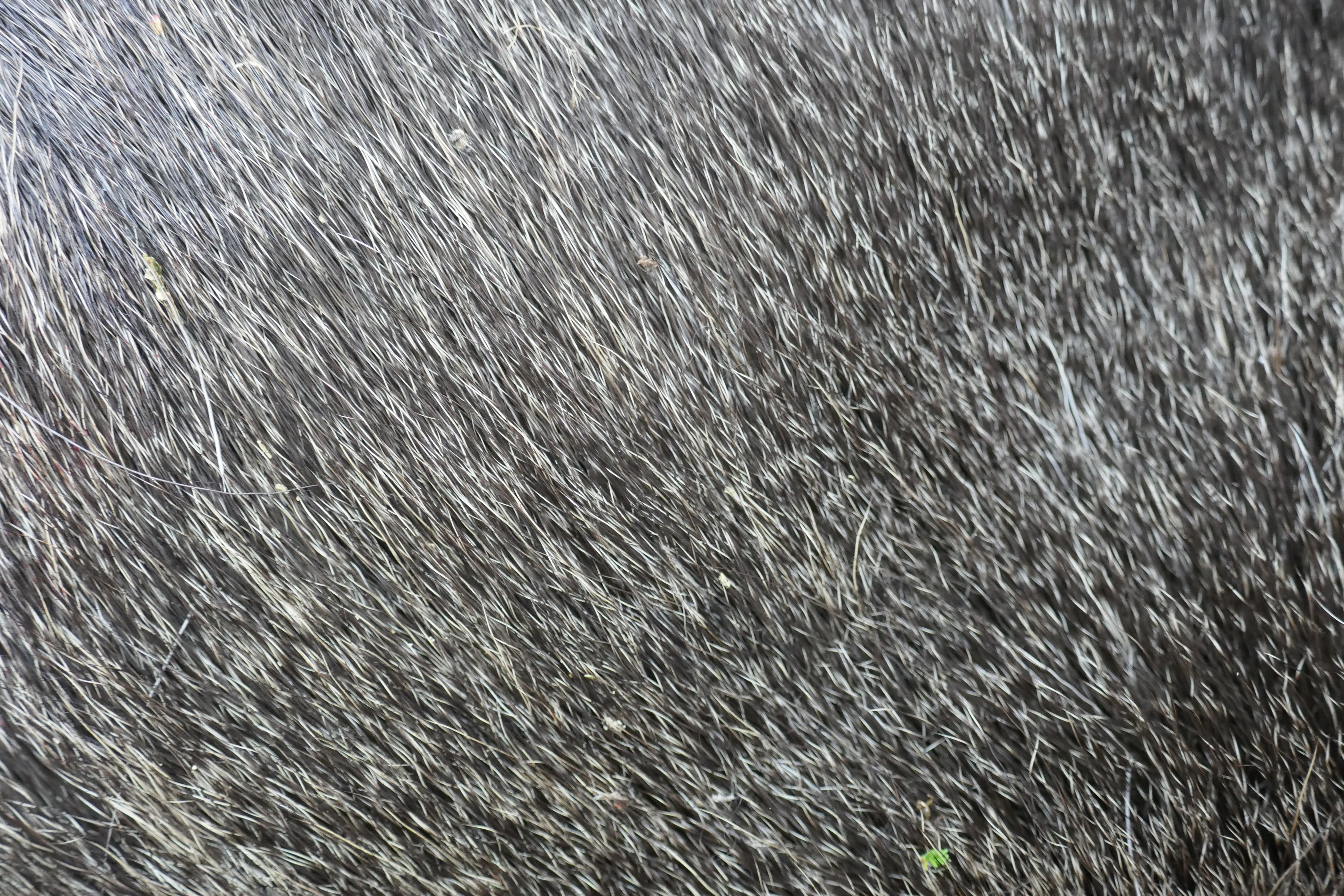 P1010131