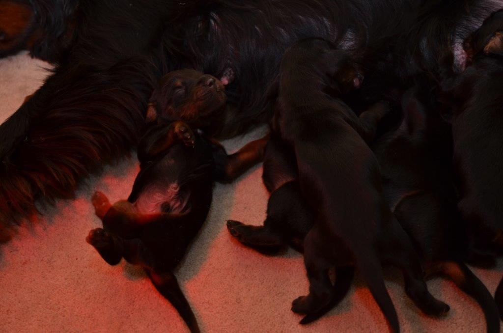 DSC_6663